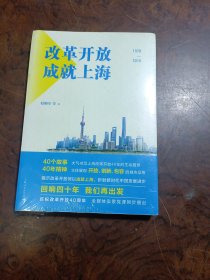 改革开放成就上海