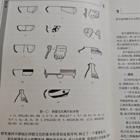 老牛坡:西北大学考古专业田野发掘报告