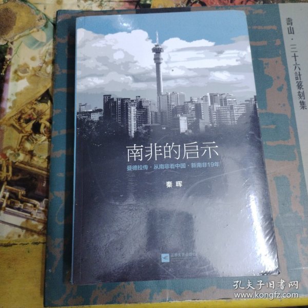 南非的启示：曼德拉传·从南非看中国·新南非十九年（带塑封）