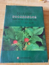 黑龙江省大仙岭野生食用植物彩色图志