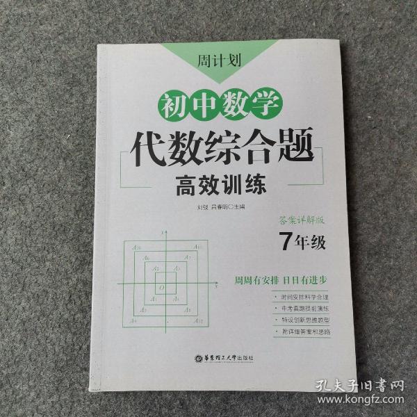 周计划：初中数学代数综合题高效训练（7年级）