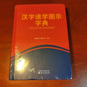 汉字速学图示字典（正版95新，内页干净）