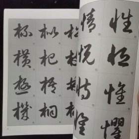 书法自学丛帖：赵孟頫草书《千字文》入门