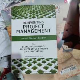 Reinventing Project Management: The Diamond Approach to Successful Growth and Innovation