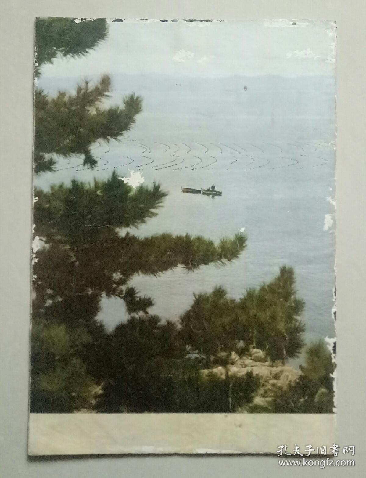 人民画报 1979 2【封面底和书脊边缘有点磨白破损，品一般】