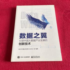 数据之翼:引领中国大数据产业发展的创新技术