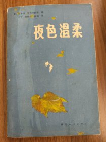 夜色温柔：菲茨杰拉德文萃