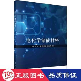 電化學(xué)儲(chǔ)能材料 化工技術(shù) 劉金云 等 編