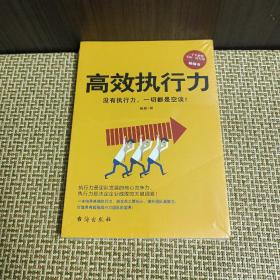 高效执行力（没有执行力，一切都是空谈！一部打造超强战斗力团队的宝典）《未开封》