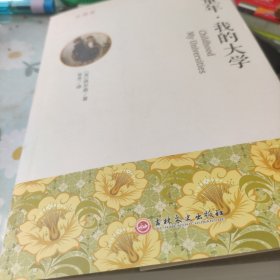 童年·我的大学全译本
