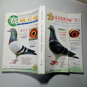 北京赛鸽天地广告 62