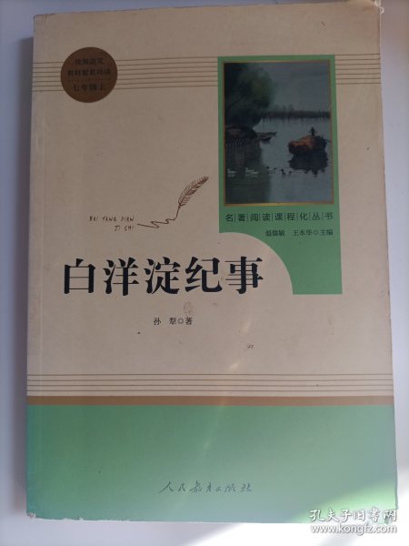 白洋淀纪事 名著阅读课程化丛书（统编语文教材配套阅读）七年级上