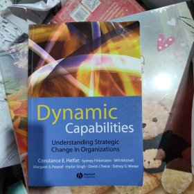 动态能力：认识组织战略变化 Dynamic Capabilities Resource-Based Change in Organizations