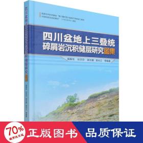 四川盆地上三叠统碎屑岩沉积储层研究图集(精)