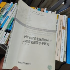 中國農(nóng)村養(yǎng)老保險(xiǎn)體系中土地養(yǎng)老保障水平研究