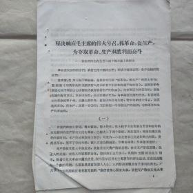 015：1967年江西宁都林忠照同志在全省三级干部会议上的报告二页八面 1966年共青团赣州地委通知一份