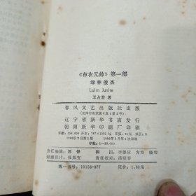 绿林俊杰 布衣元帅