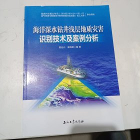 海洋深水钻井浅层地质灾害识别技术及案例分析