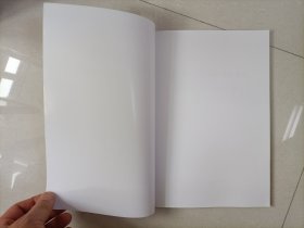 气候变化突发影响:预见意外