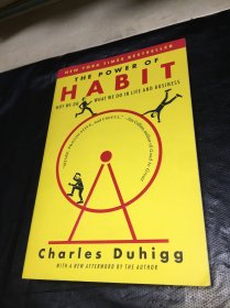 The Power of Habit: Why We Do What We Do in Life and Business习惯的力量 英文原版