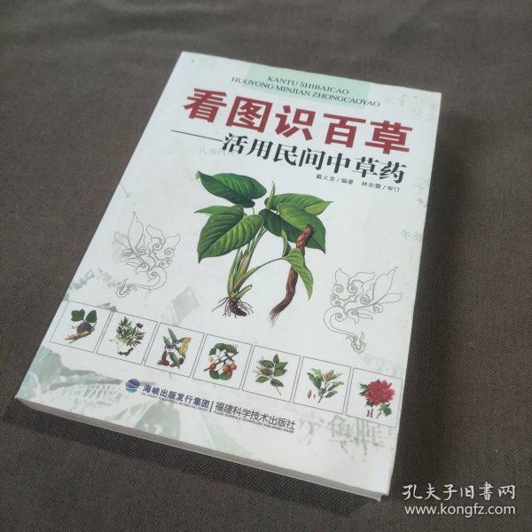 看图识百草：活用民间中草药