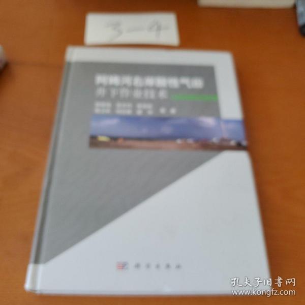 阿姆河右岸酸性气田井下作业技术