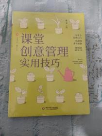 课堂创意管理实用技巧大夏书系（全新塑封）