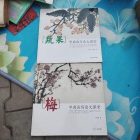 蔬果（中国画写意大课堂）和（梅）两本合售