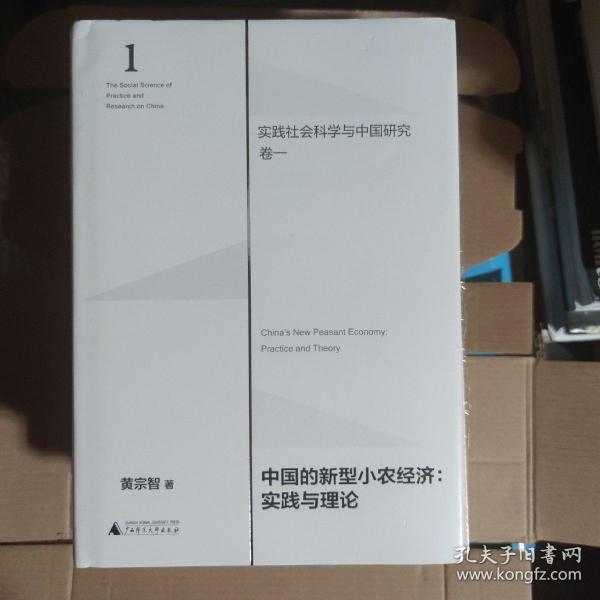 中国的新型小农经济：实践与理论（实践社会科学与中国研究·卷一）