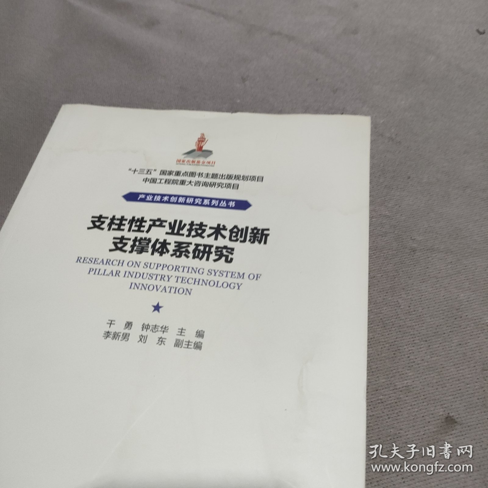 支柱性产业技术创新支撑体系研究