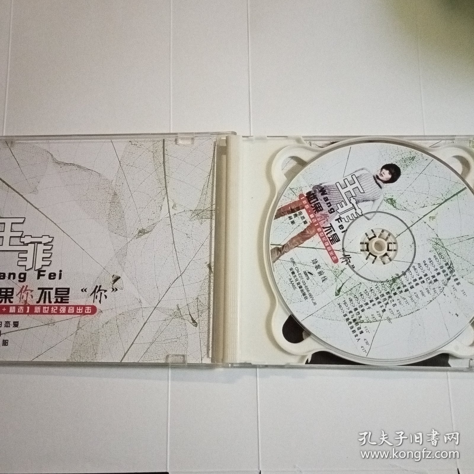 王菲如果你不是“你” 2VCD