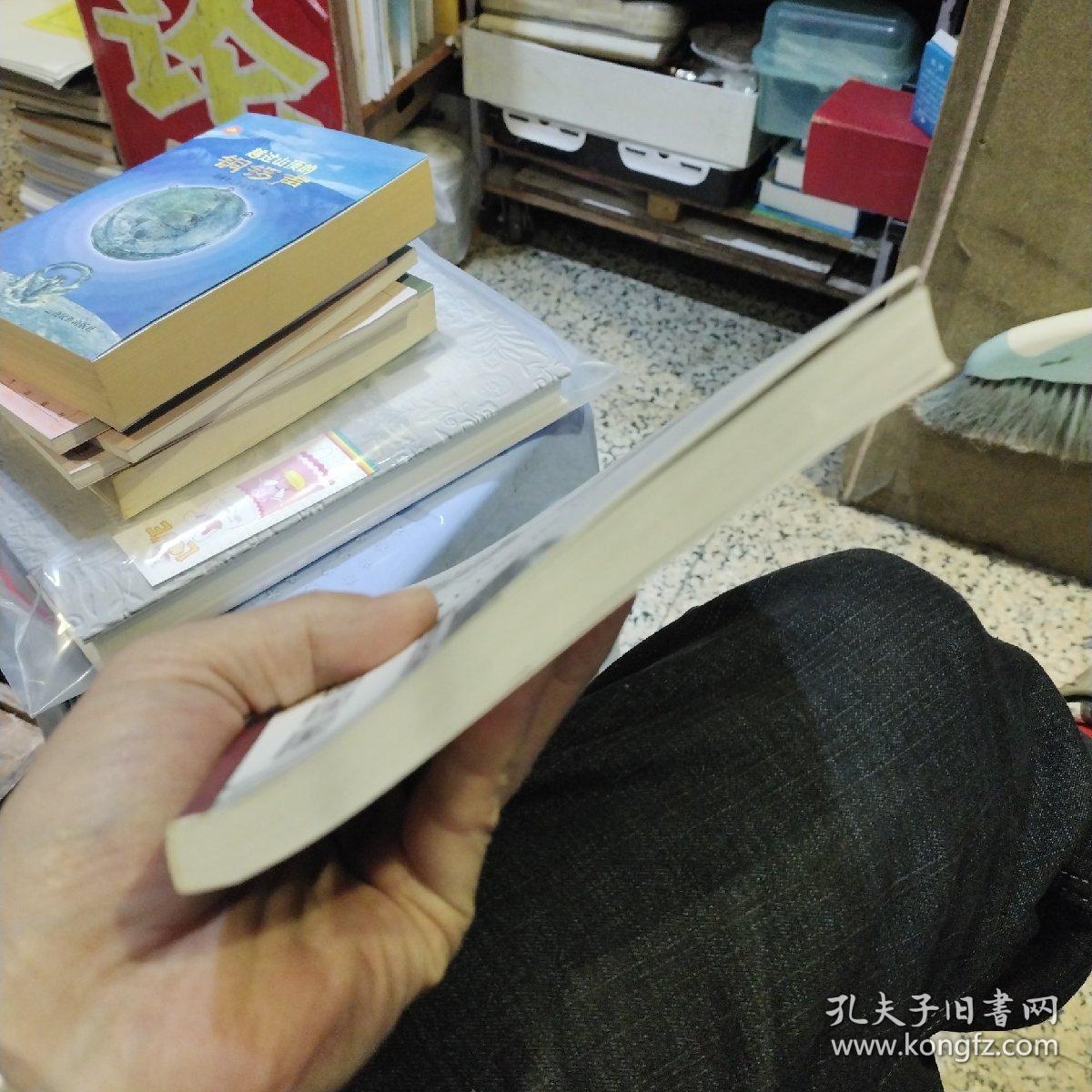 大理白族散记  杨定康、杨应康  著  云南民族出版社9787536762060