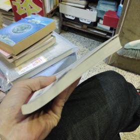 大理白族散记  杨定康、杨应康  著  云南民族出版社9787536762060