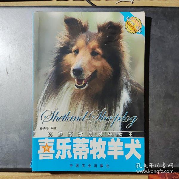 喜乐蒂牧羊犬