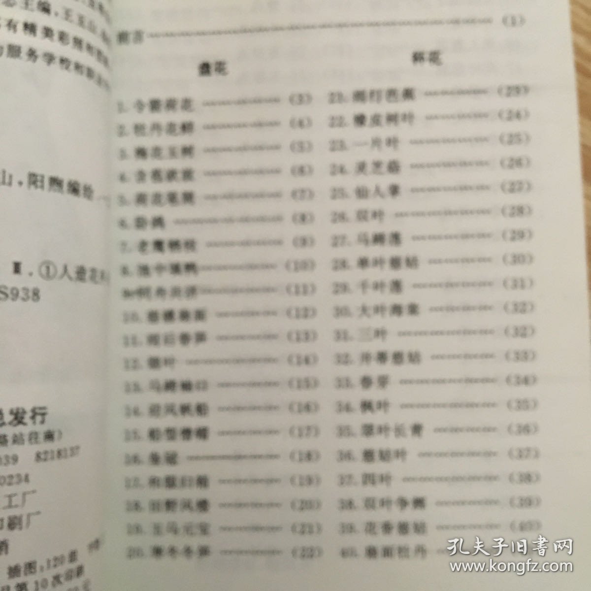 口布折花120款