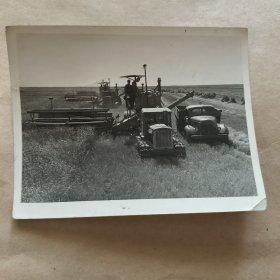新华社稿1956年黑白照片联合收割机【24】