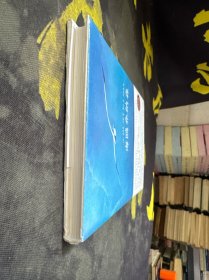 海鸥乔纳森