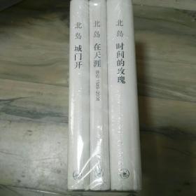 时间的玫瑰.在天涯.城门开三册北岛作品全新未拆封