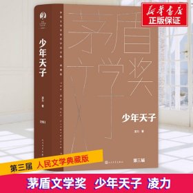 少年天子凌力人民文学出版社