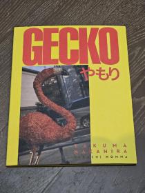 中平卓马 GECKO