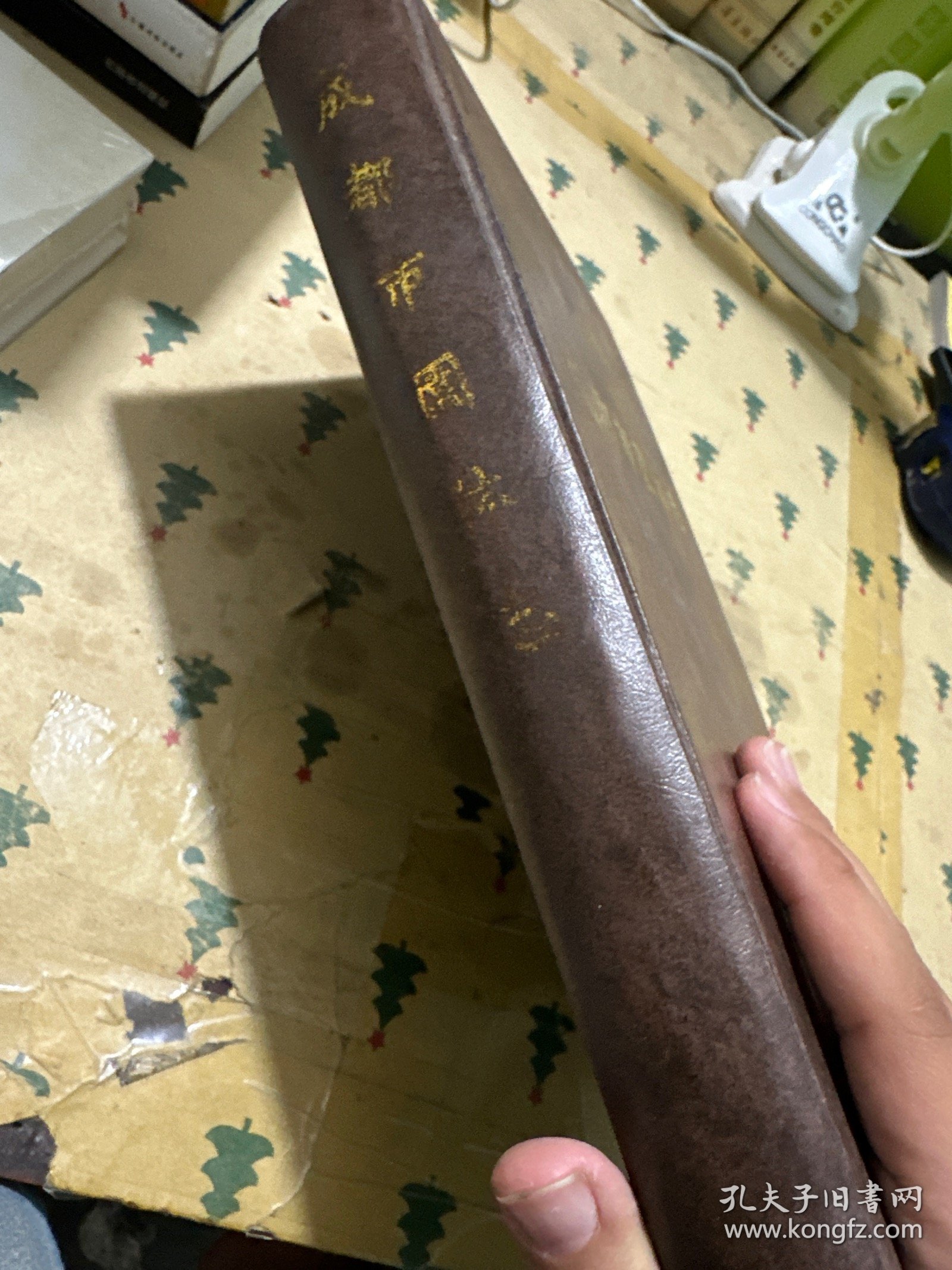 成都市园林志
