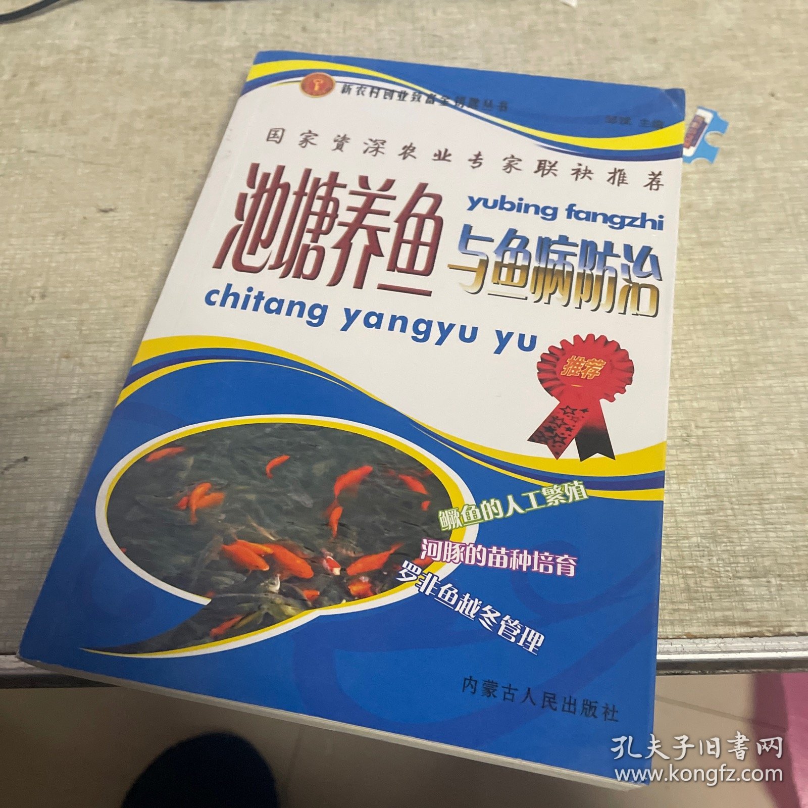 农村庭院立体经营致富诀窍，池塘养鱼与鱼病防治