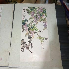 杨柳枝头~张振铎 作    瓜、 葡萄~王霞宙 作      紫藤~张肇铭 作  八开四幅合售