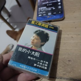 董文华演唱（第四辑）