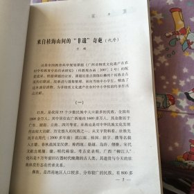 桂海壮彝歌谣故事精选