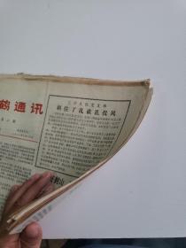 八十年代初高鹤县《高鹤通讯》6份+《高鹤科普》1份