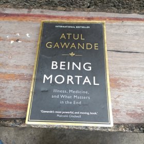 Being Mortal: Illness, Medicine and What Matters in the End 凝视死亡 最好的告别：关于衰老与死亡，你必须知道的常识