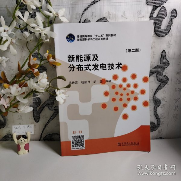 新能源及分布式发电技术（第二版）/普通高等教育“十二五”规划教材