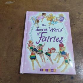 the secret world of fairies精装英语