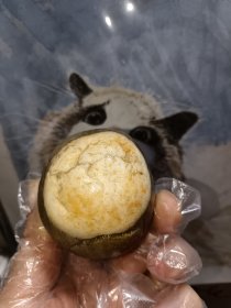 奇石。“是个啥？"